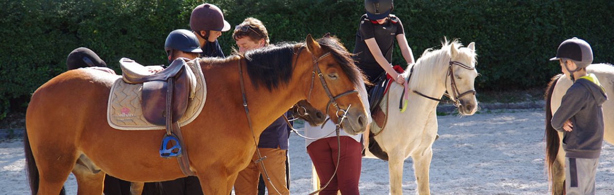 Ouverture section équitation - Rentrée 2022