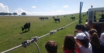 Salamanque - Avril et mai 2019